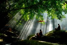 Buddhist monks meditate