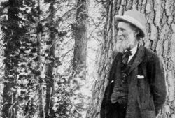 Photograph of John Muir in the woods