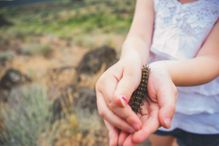 Girl holding a caterpillar.