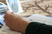 Holding a picture of an ancestor near a family tree.