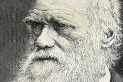 Charles Darwin