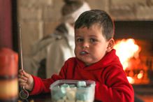 Young boy roasting marshmallows with his mother