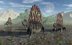Sail-Backed Carnivorous Dimetrodons During Earths Permian Period