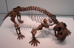 lystrosaurus