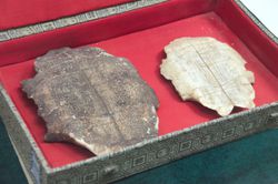 Shang Dynasty Oracle Bones, Yin Capital at Anyang