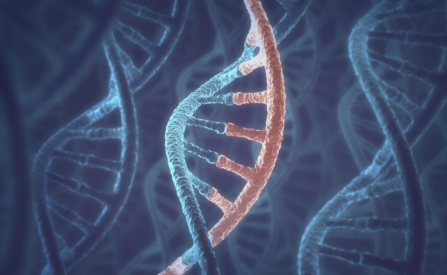 DNA molecules