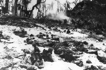 battle-of-peleliu-large.jpg