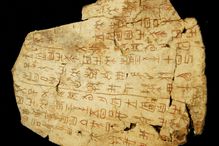 Early Chinese script on a Shang oracle bone