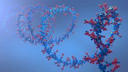 RNA molecule