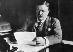 Theodore Roosevelt looking at papers at his desk