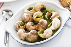 Escargots in butter in a white dish