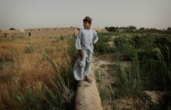 A Pashtun boy stands on a mud wall in his family&#39;s farm fields June 3, 2010 in Walakhan, a village south of Kandahar, Afghanistan