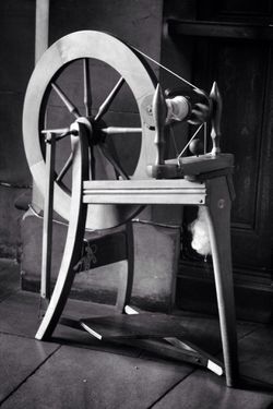 View Of Spinning Wheel