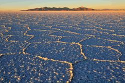 Bolivian desert