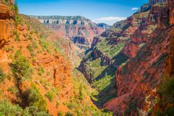 Panoramic view down the North Kaibab Trail in Grand Canyon National Park