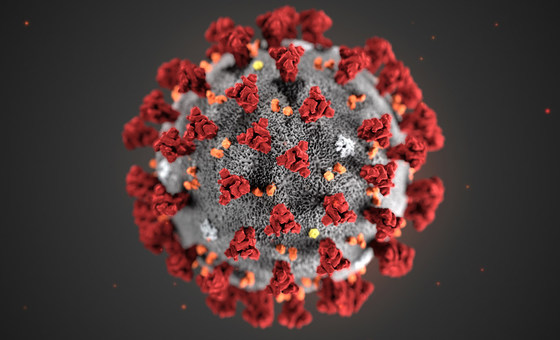 Recreación en 3D del coronoavirus