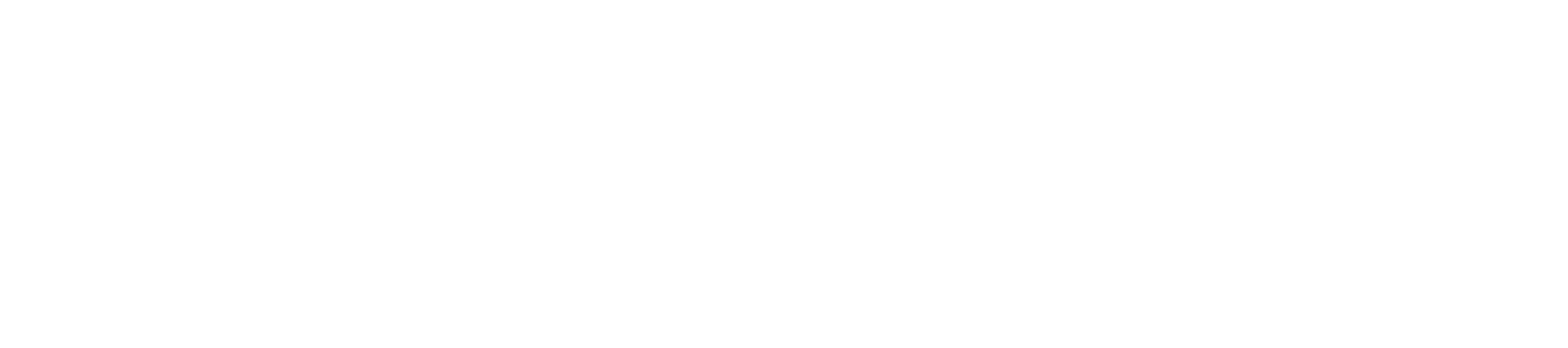 United Nations Alliance of Civilizations (UNAOC)