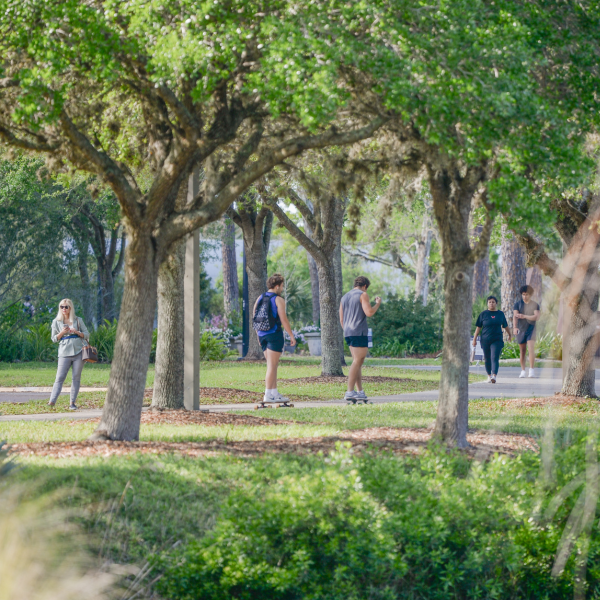 Photo of campus: Students walking on sidewalk with trees all around 