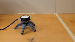 Researchers Gave a Mushroom a Robot Body