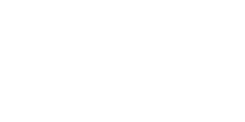 VICE