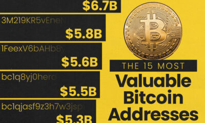 Bar chart of the 15 most valuable bitcoin wallets.