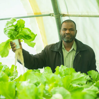 WFP support local smallholder farmers by introducing innovative agriculture methods such as hydroponics. Photo: WFP/Ahmed Ibrahim