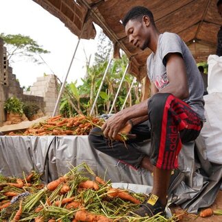 A man sat down and cutting carrots