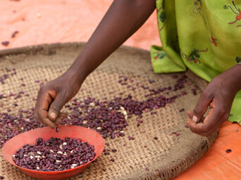 Nutrient-rich beans, produced by farmers with the support of WFP in Colombia