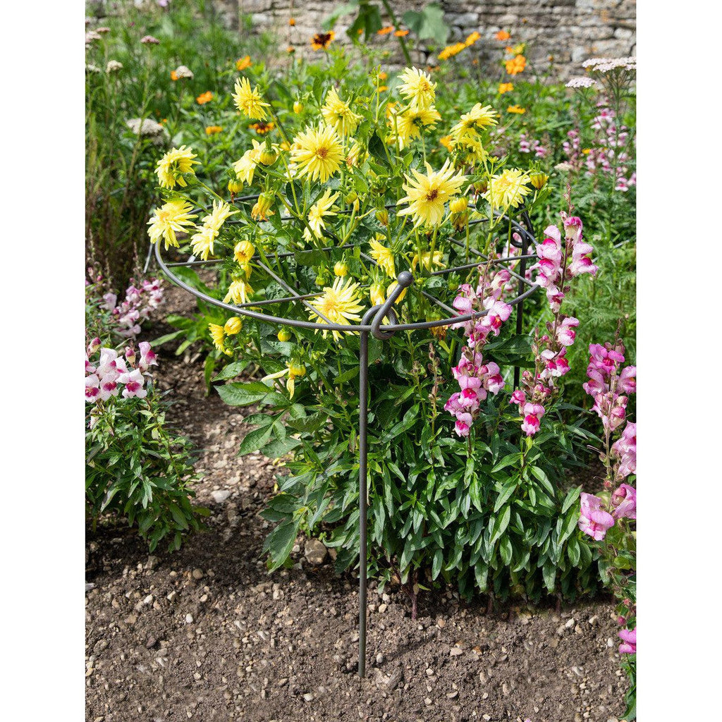 Charlbury Grow Through Plant Support | Large - Plant Supports & Obelisks - Garden Trading - Yester Home