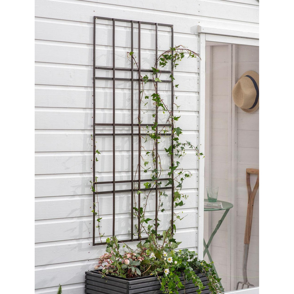 Charlbury Wall Trellis | 60cm - Plant Supports & Obelisks - Garden Trading - Yester Home