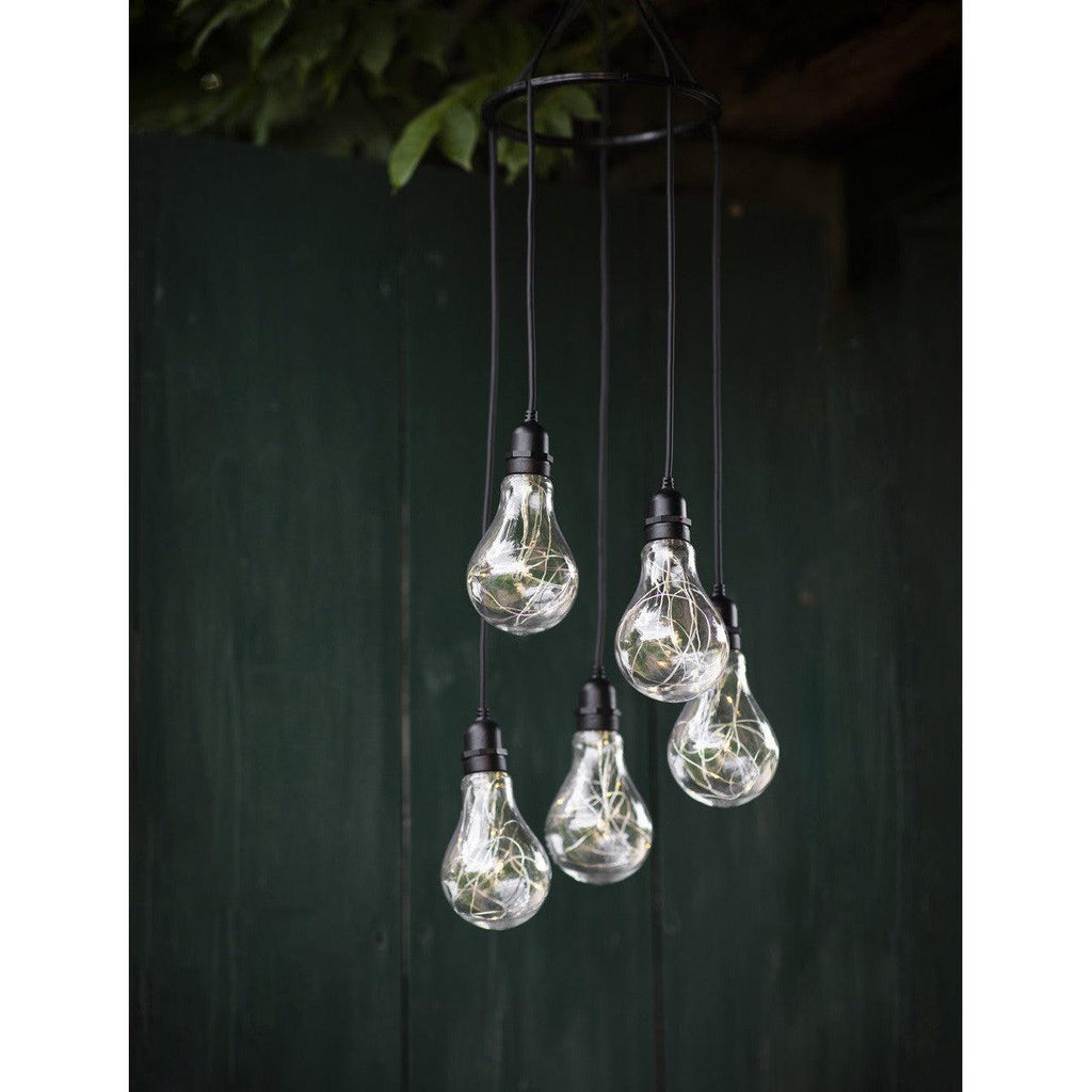 Festoon Lights | Cluster | Battery Operated - Festoon Lights - Garden Trading - Yester Home