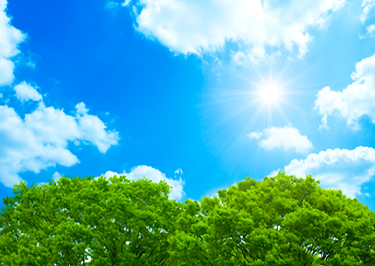 co009_2024.webp